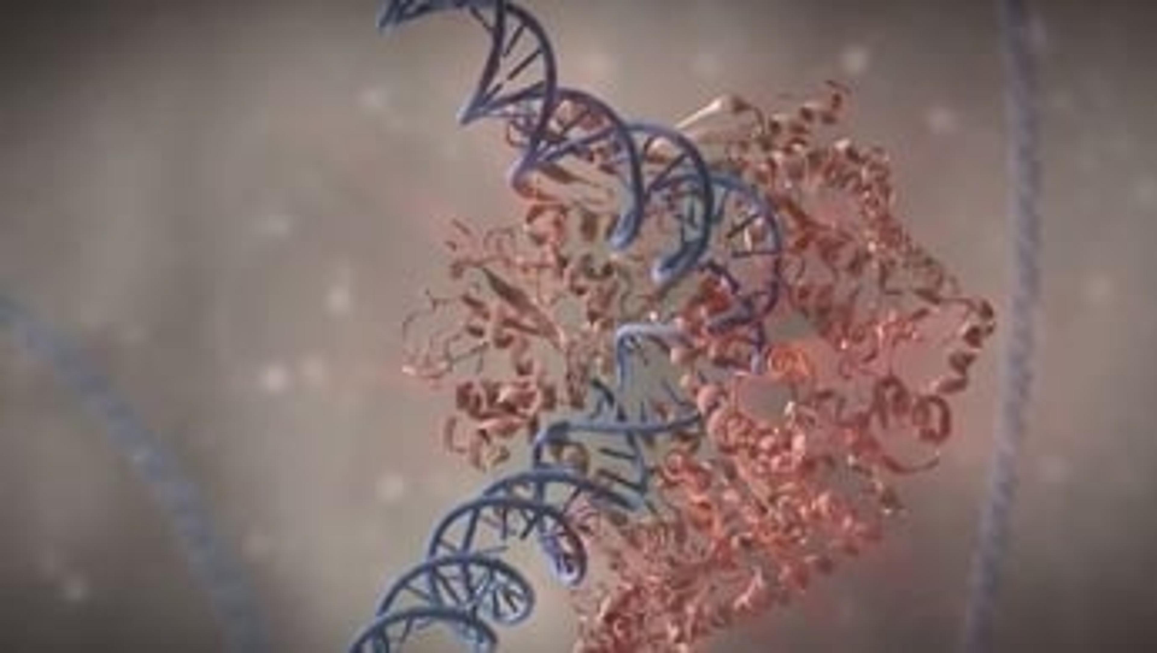 NEB Product Portfolio for Genomics, Proteomics and Cell Biology NEB Product Portfolio for Genomics, Proteomics and Cell Biology
