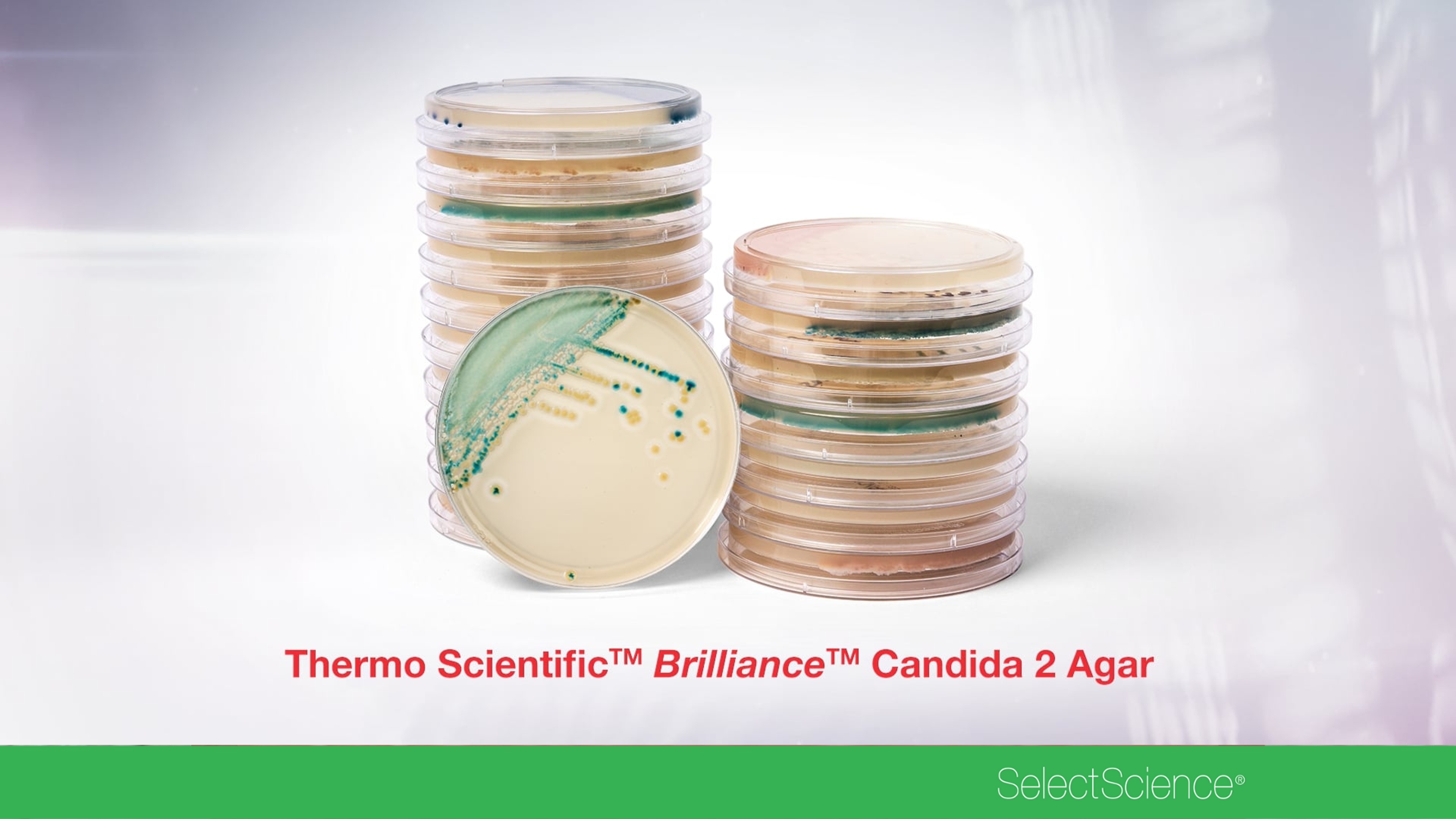 Rapid detection of Candida species with Brilliance Candida 2 Agar Rapid detection of Candida species with Brilliance Candida 2 Agar