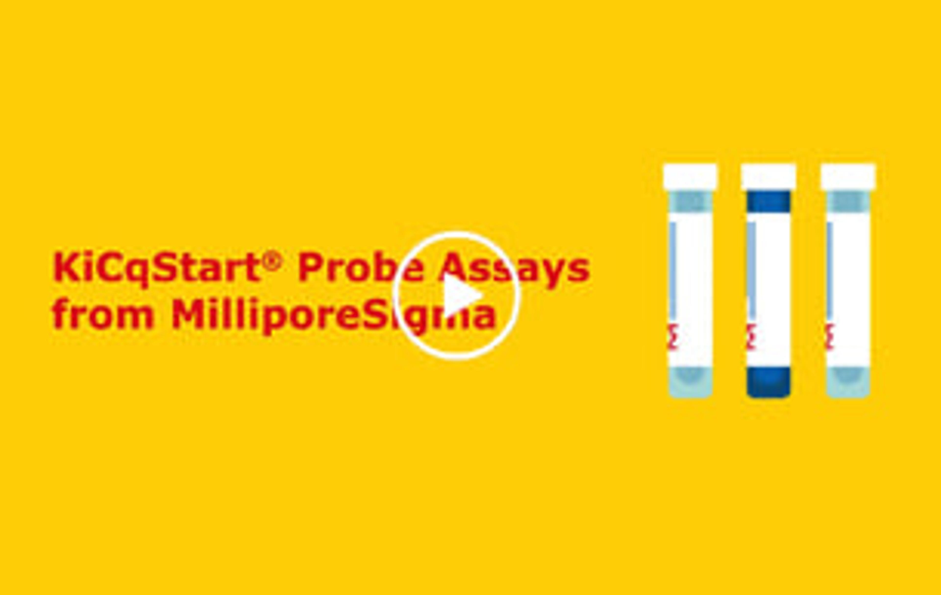 Meet your RT-qPCR needs with ease Meet your RT-qPCR needs with ease