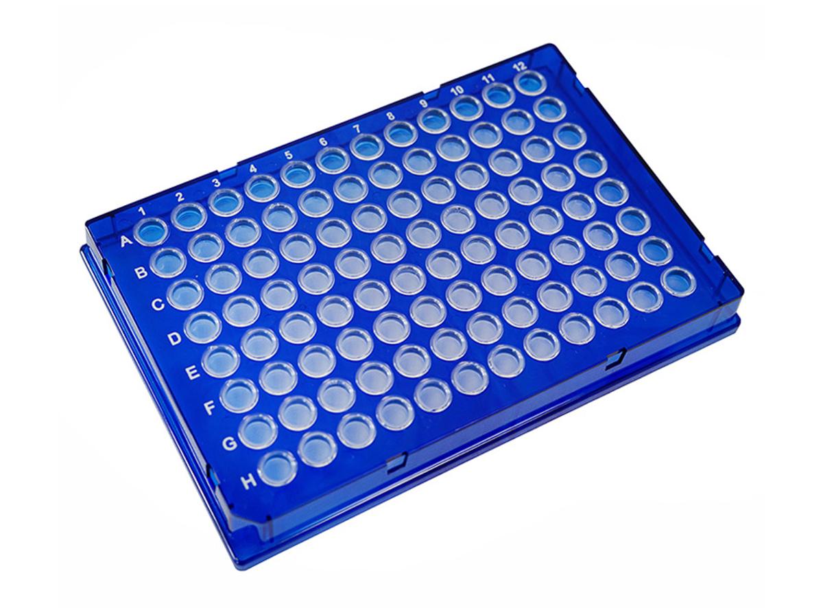 Starlab Rigid-Frame PCR Plates
