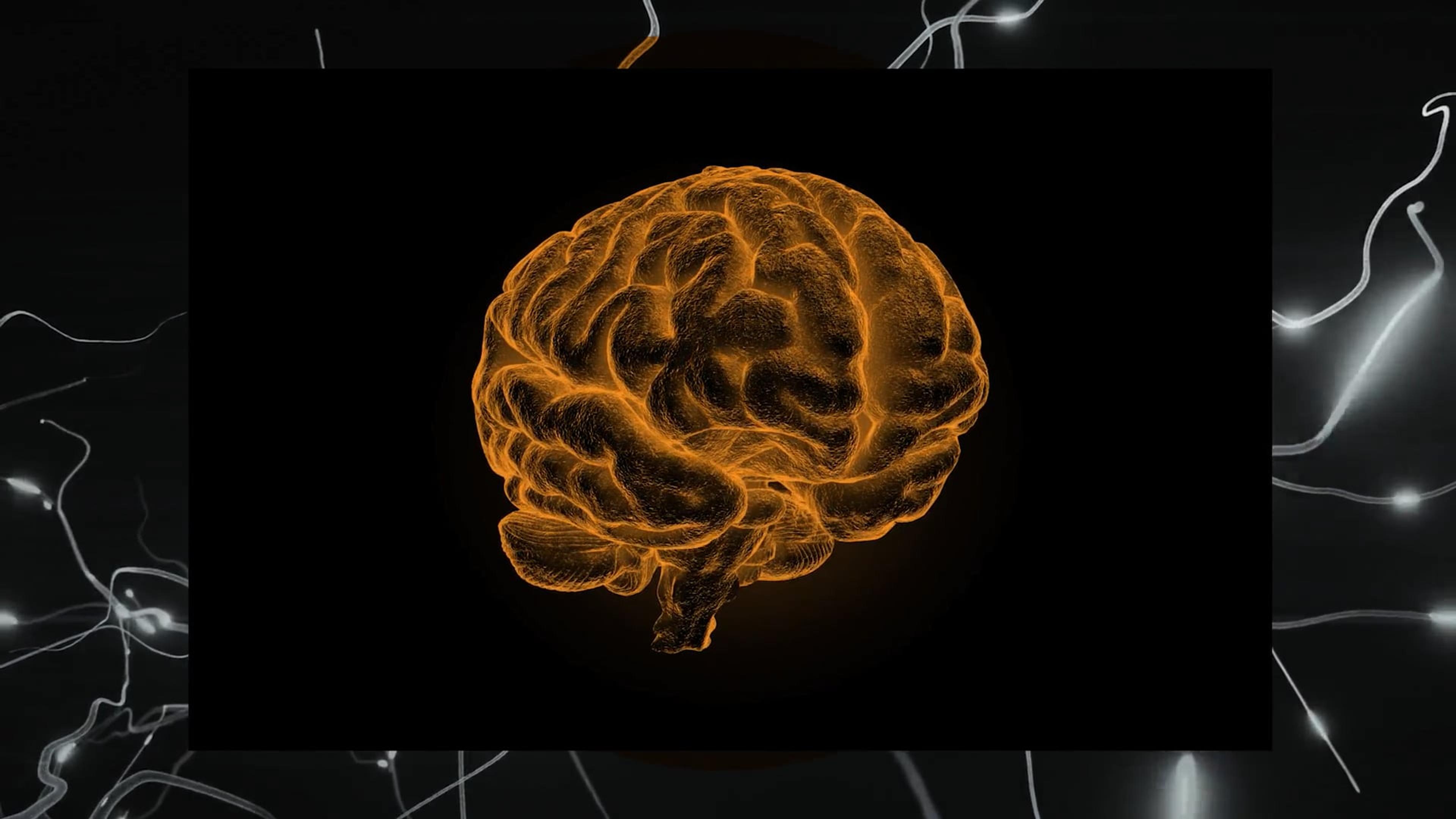 Supercharge your research with the Maestro Volt Supercharge your research with the Maestro Volt