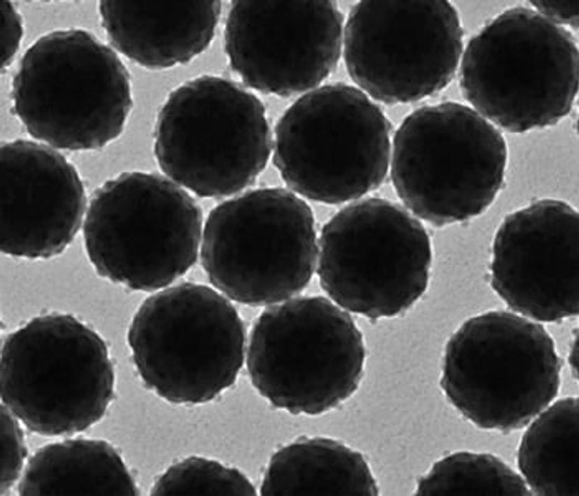 TEM analysis of Estapor® Europium Microspheres