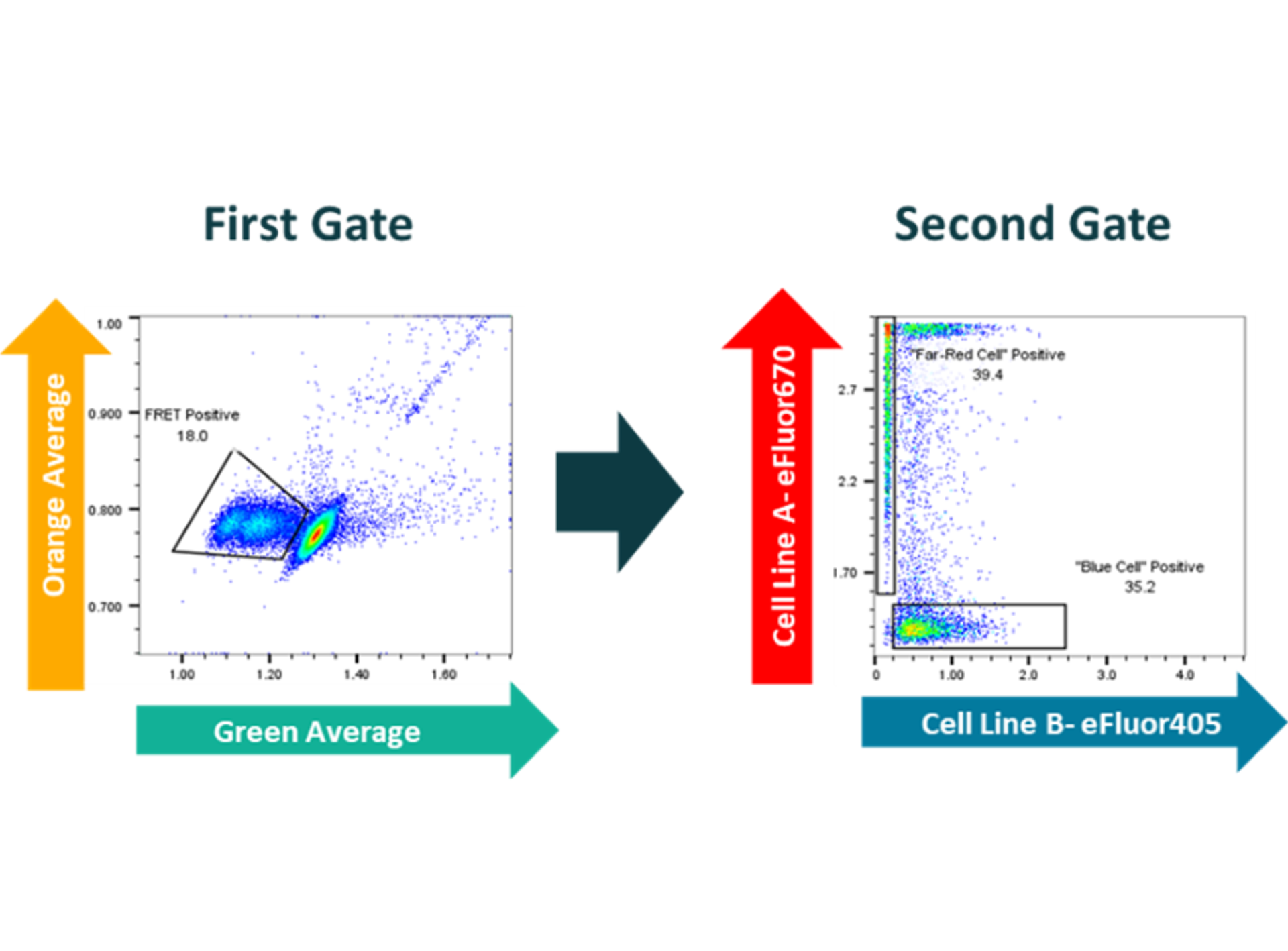 Figure 4: fluorescent multiplexing in droplets assessing both FRET response (gate 1) and cell stain (gate 2) simultaneously