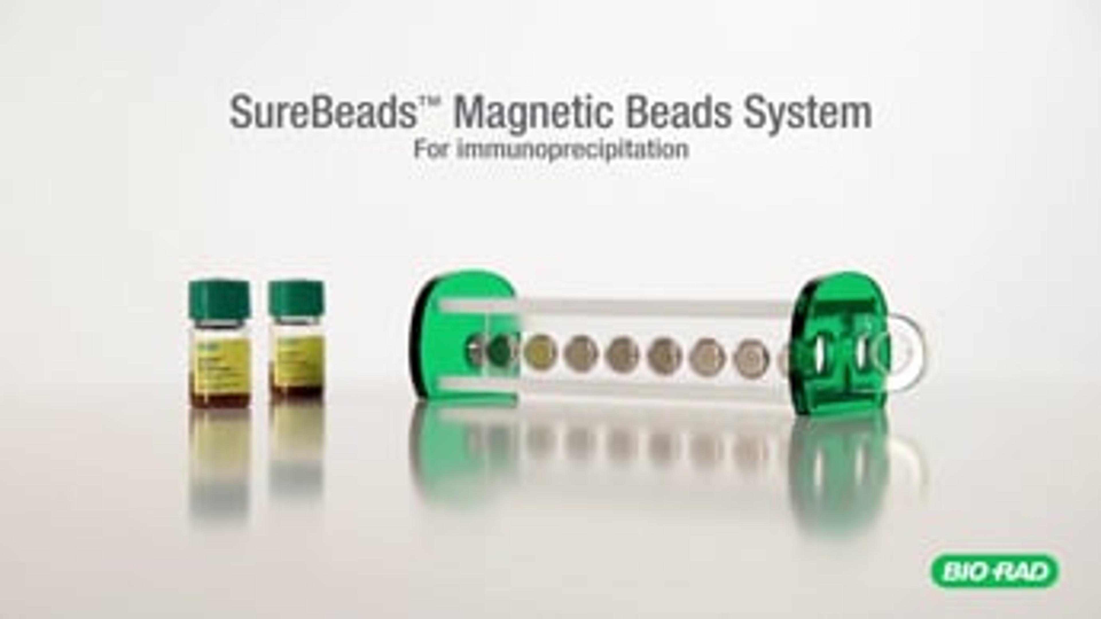SureBeads Magnetic Bead System for Immunoprecipitation SureBeads Magnetic Bead System for Immunoprecipitation