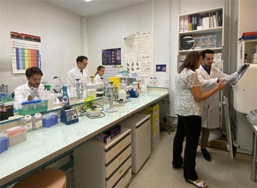 Prof. Dr. Lubka Roumenina and her team working in the lab