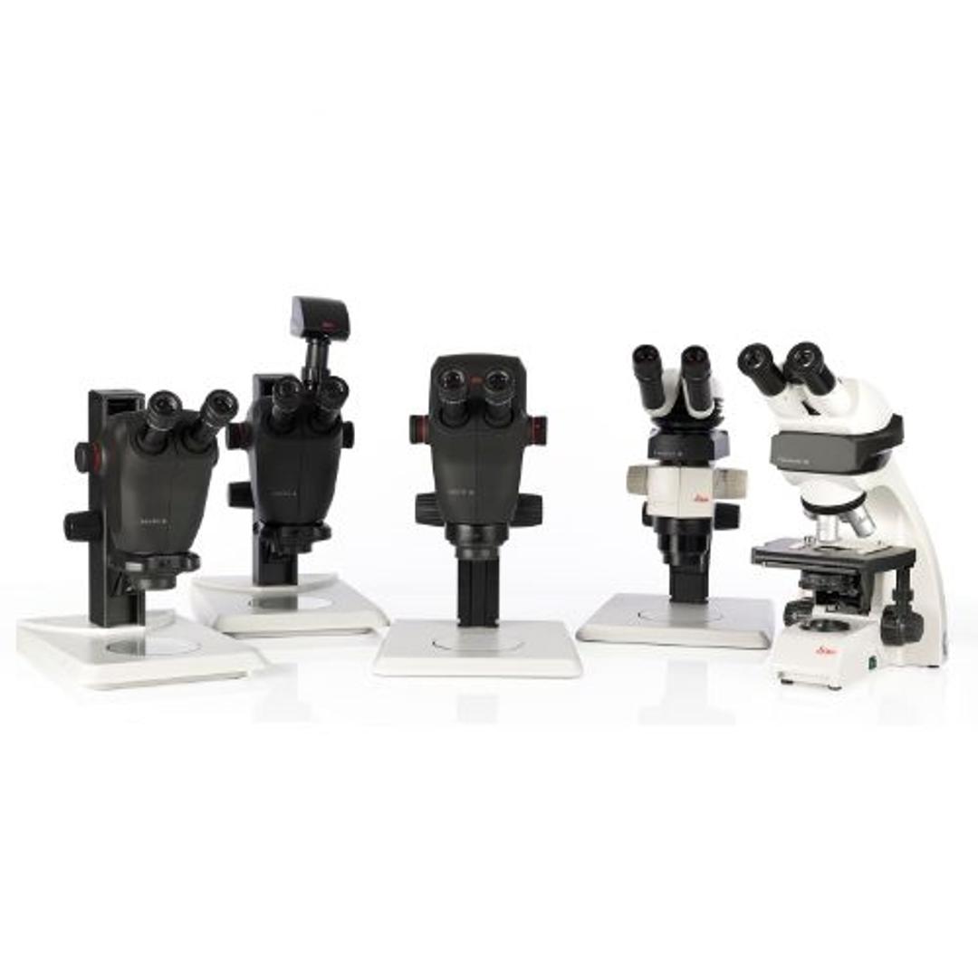 Ivesta 3 Greenough Stereo Microscope Series