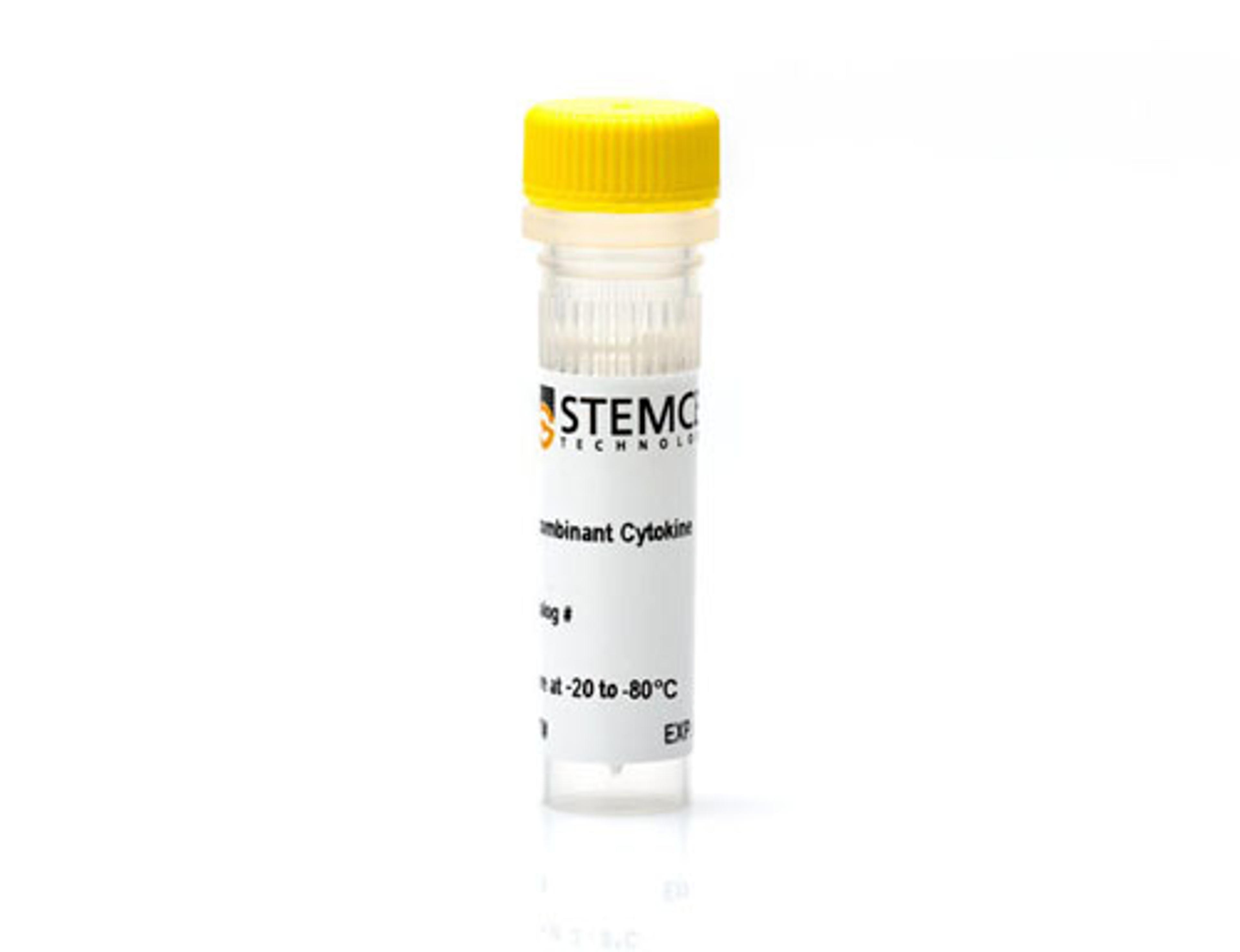 Mouse Recombinant GM-CSF