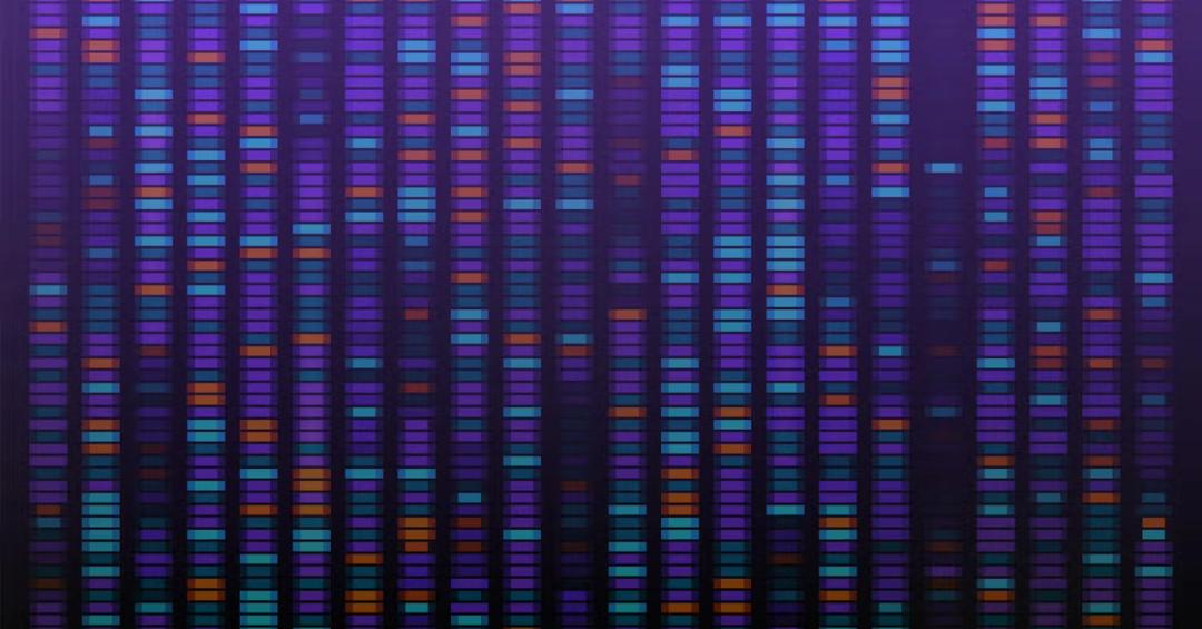 Next Generation Sequencing