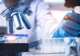 Toxicity & Safety Evaluation Services