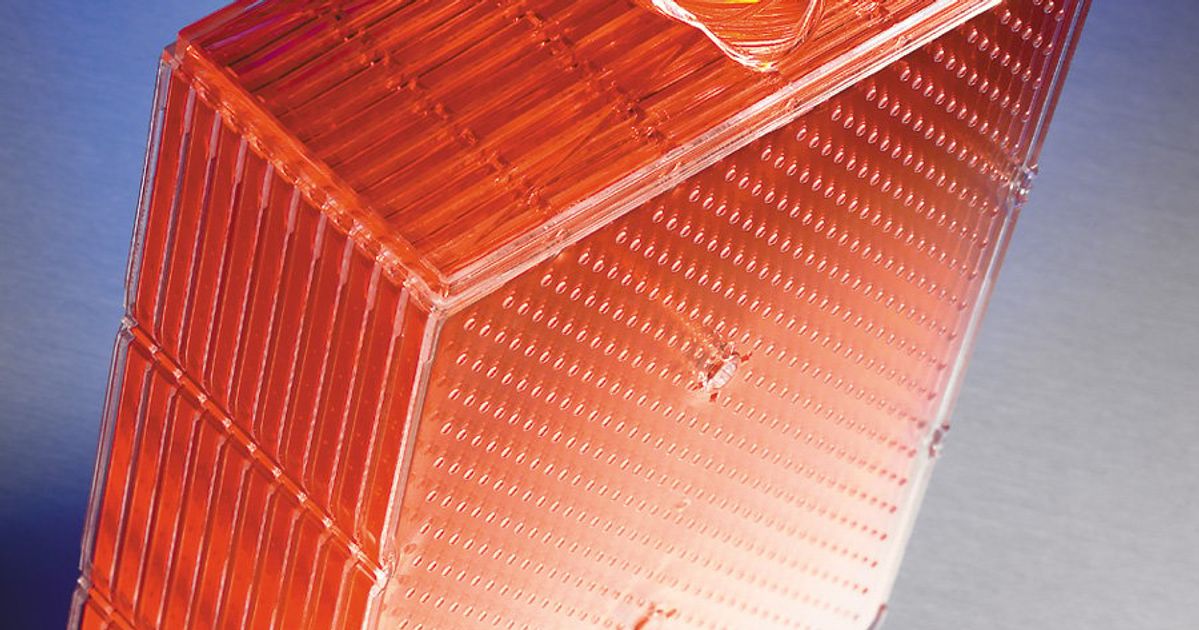 Corning® CellBIND® Surface HYPERFlask® Cell Culture Vessel