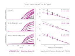 Sensitive triplex detection of SARS-COV2