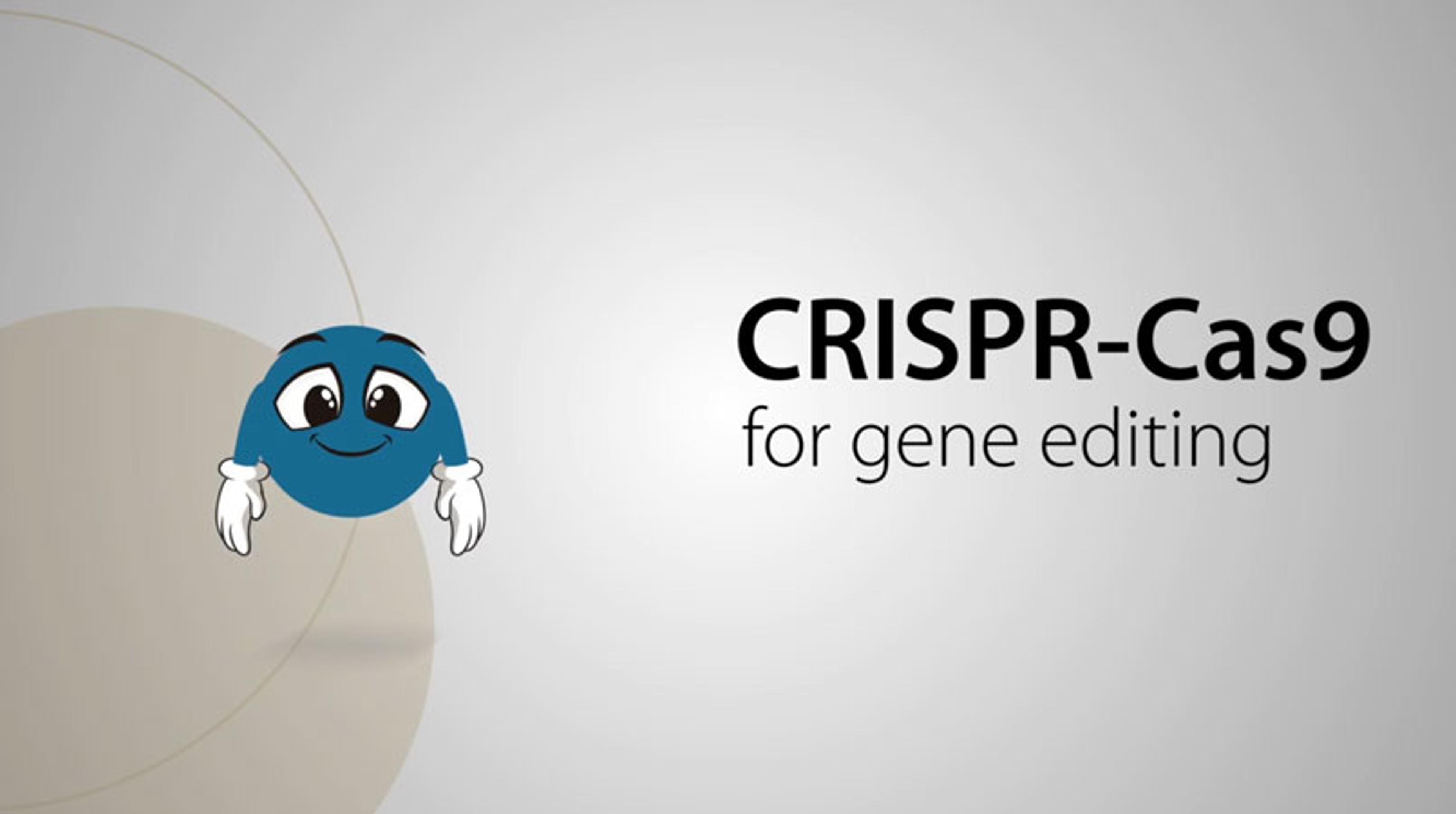 Video Guide: Advantages of Horizon's CRISPR-Cas9 Tools for Gene Editing Video Guide: Advantages of Horizon's CRISPR-Cas9 Tools for Gene Editing