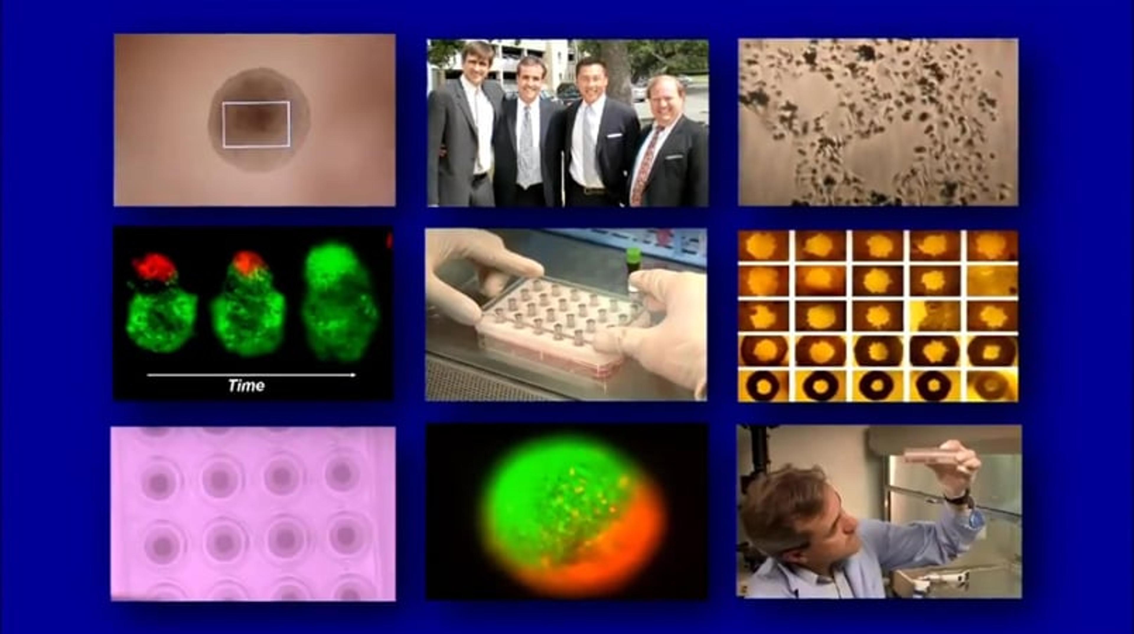 3D Cell Culture Solutions from n3D and Greiner Bio-One 3D Cell Culture Solutions from n3D and Greiner Bio-One