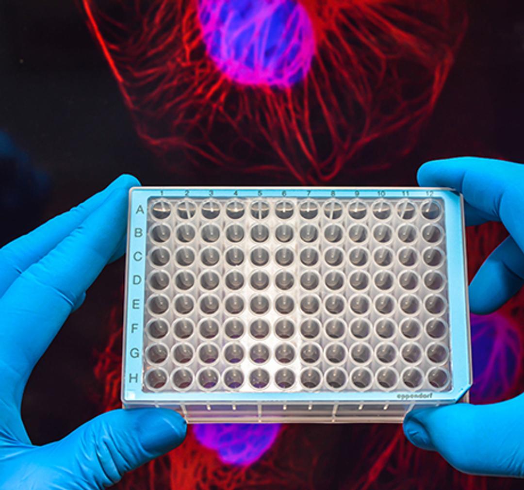 How to troubleshoot microplate assays and optimize detection with your microplate reader