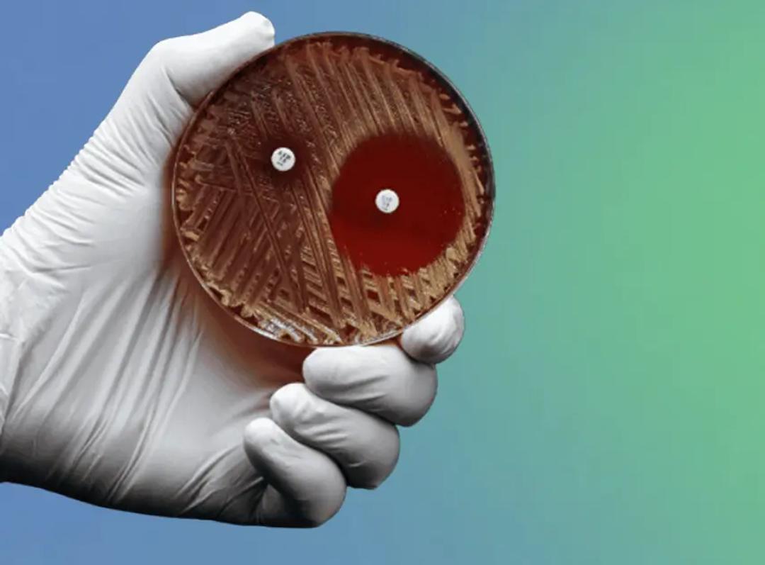 Antimicrobial resistance and the MRSA crisis