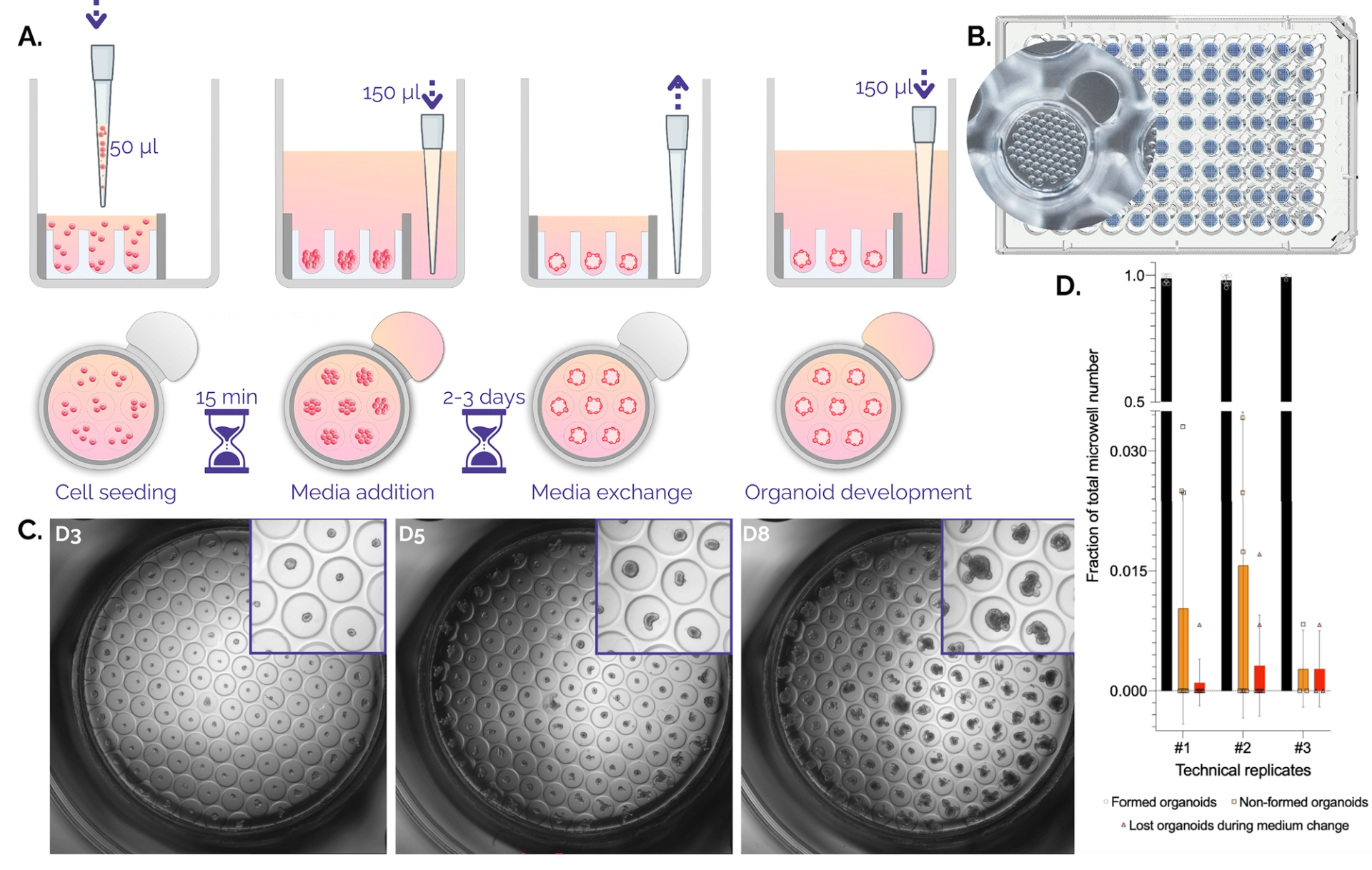 Figure 1. Organoid culture in Gri3D®microwell plates