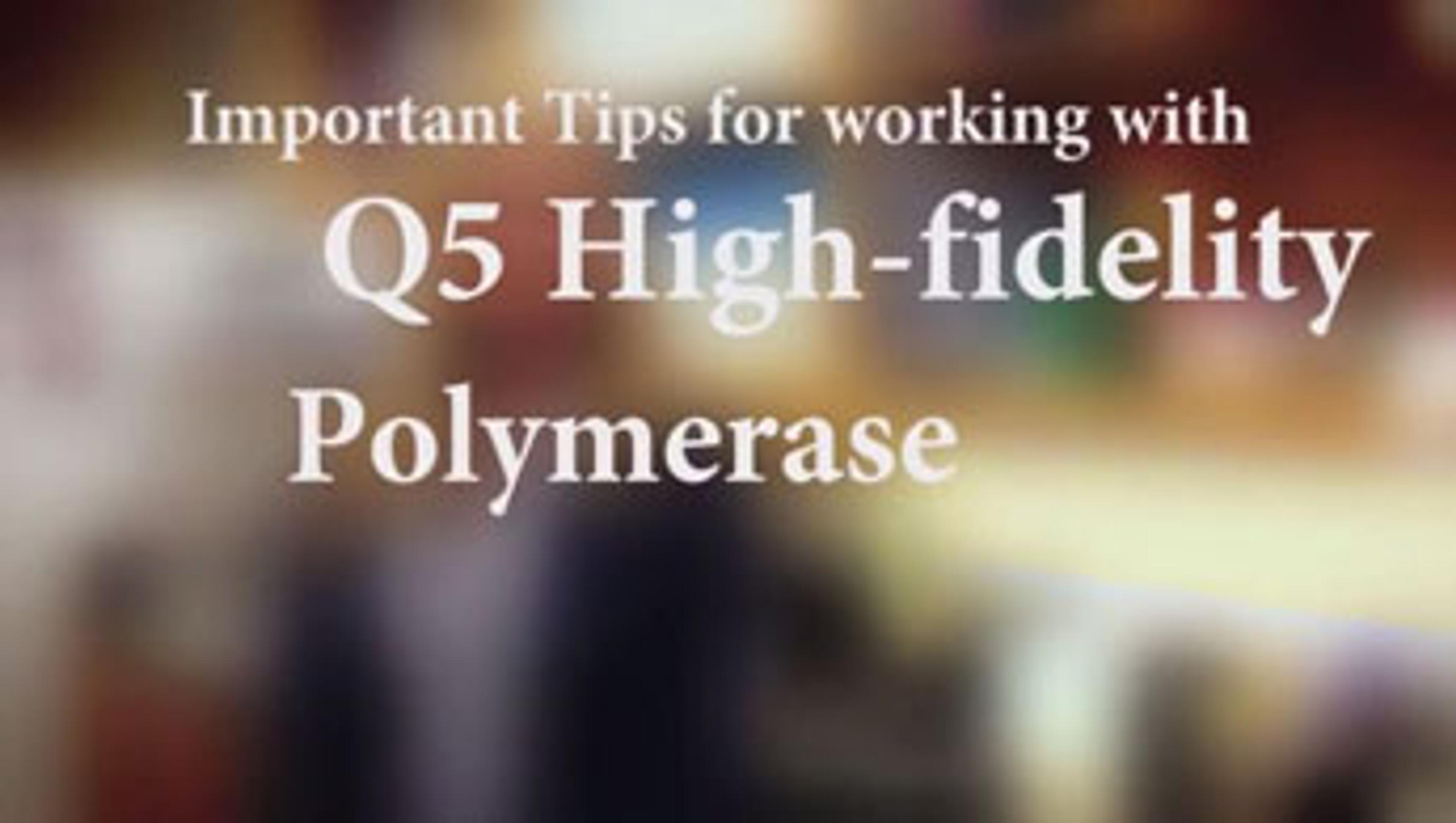 Important Tips for Working with Q5 DNA Polymerase Important Tips for Working with Q5 DNA Polymerase