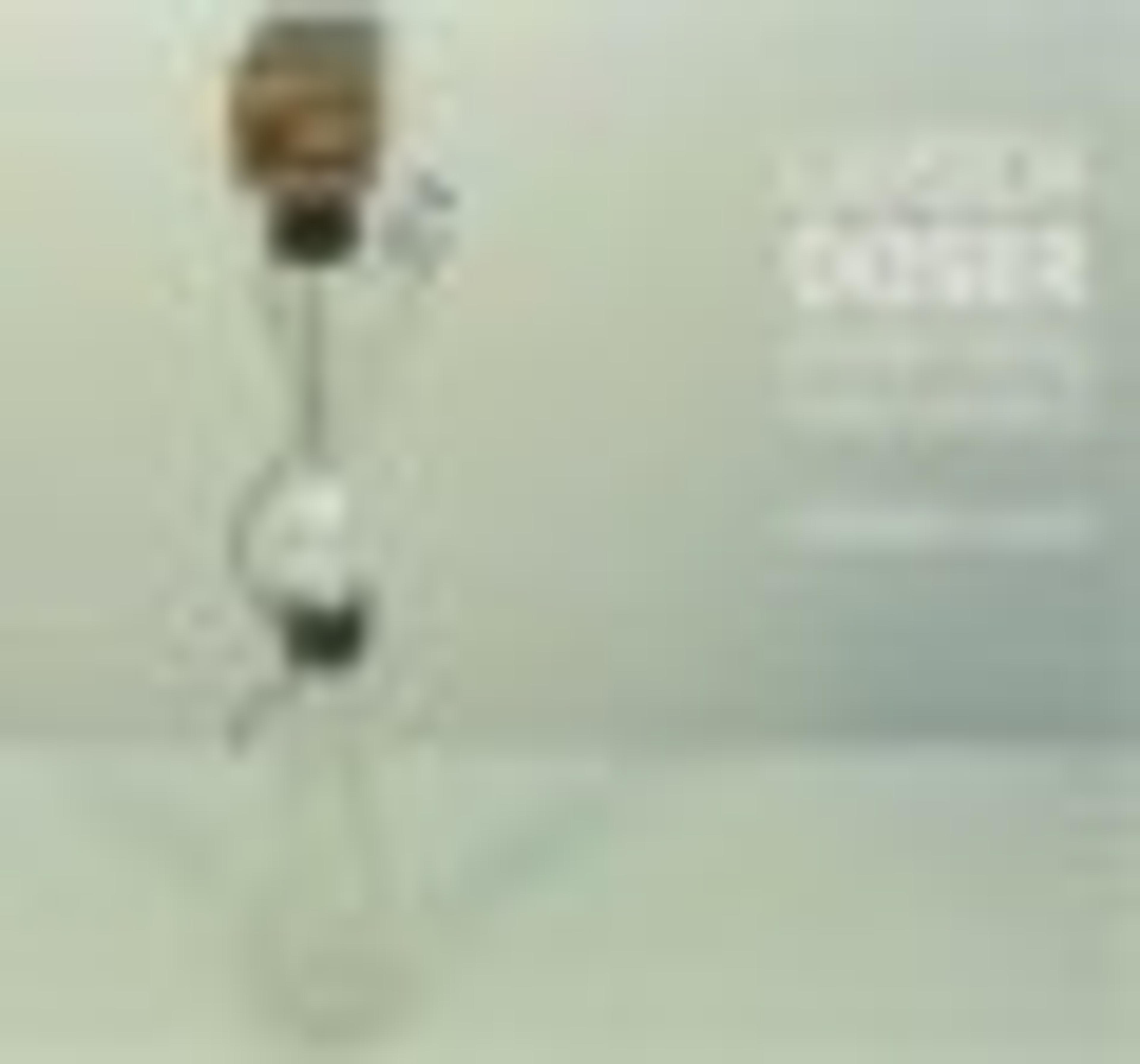 Continuous and Precise Dosing of Powders without a Spoon Continuous and Precise Dosing of Powders without a Spoon
