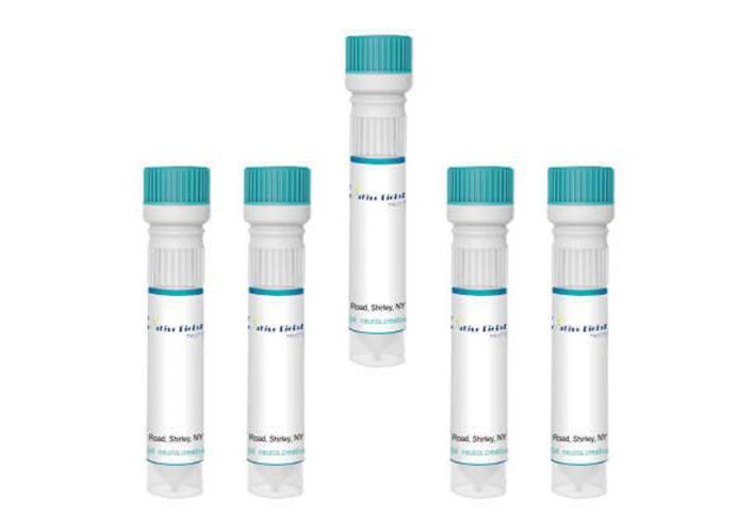 True Blue (TB) Diaceturate Salt [Fluorescent Neuronal Tracer]