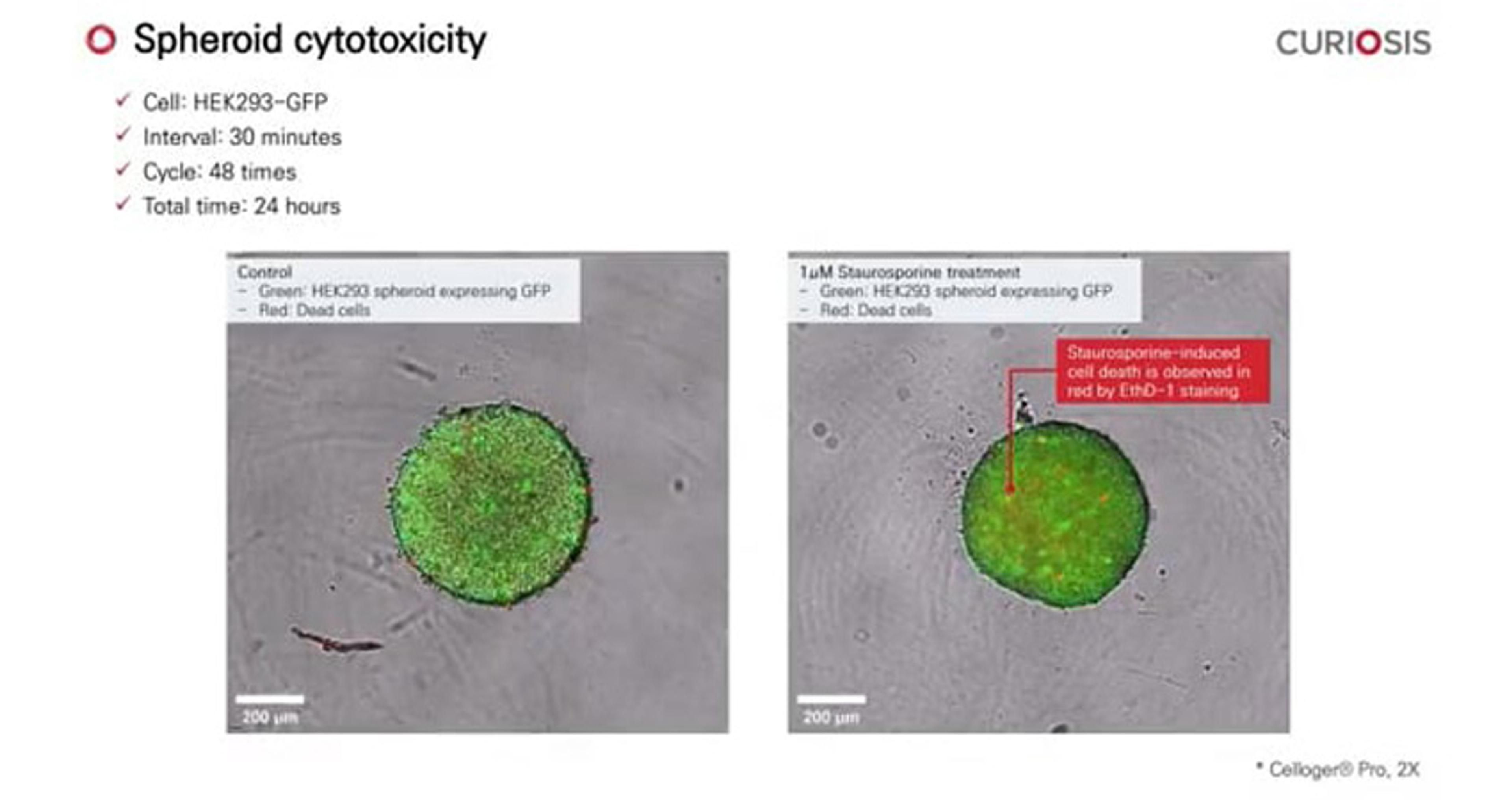 Celloger Pro application: Spheroid cytotoxicity Celloger Pro application: Spheroid cytotoxicity