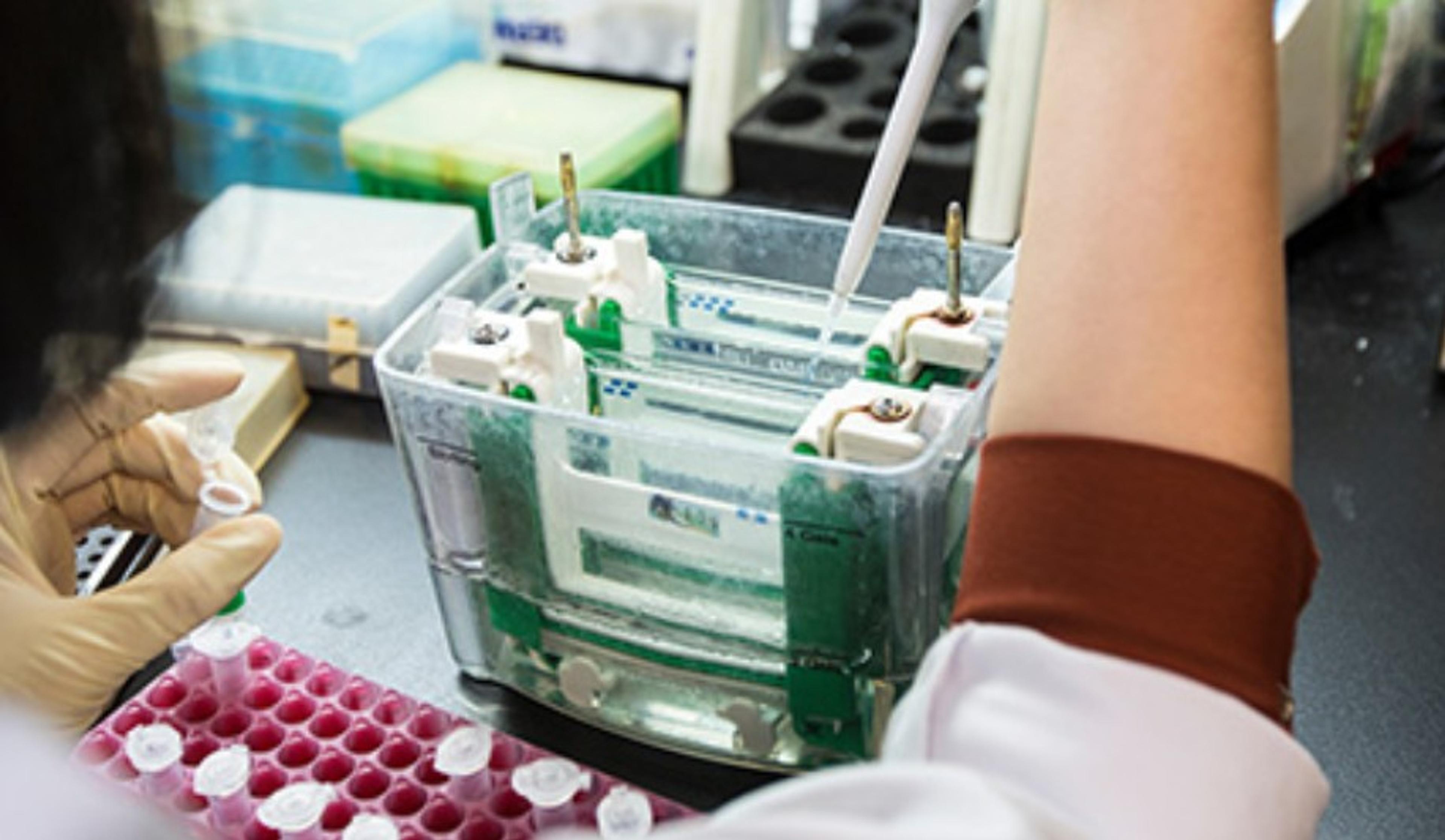 Western blotting Jackson ImmunoResearch SelectScience