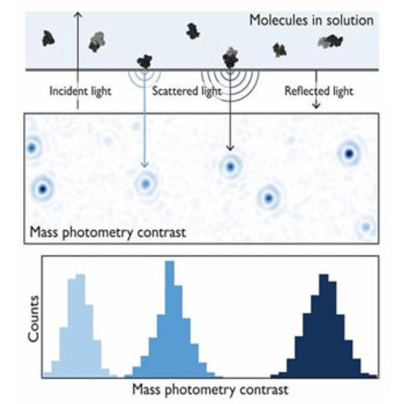 Figure showing the principles of mass photometry