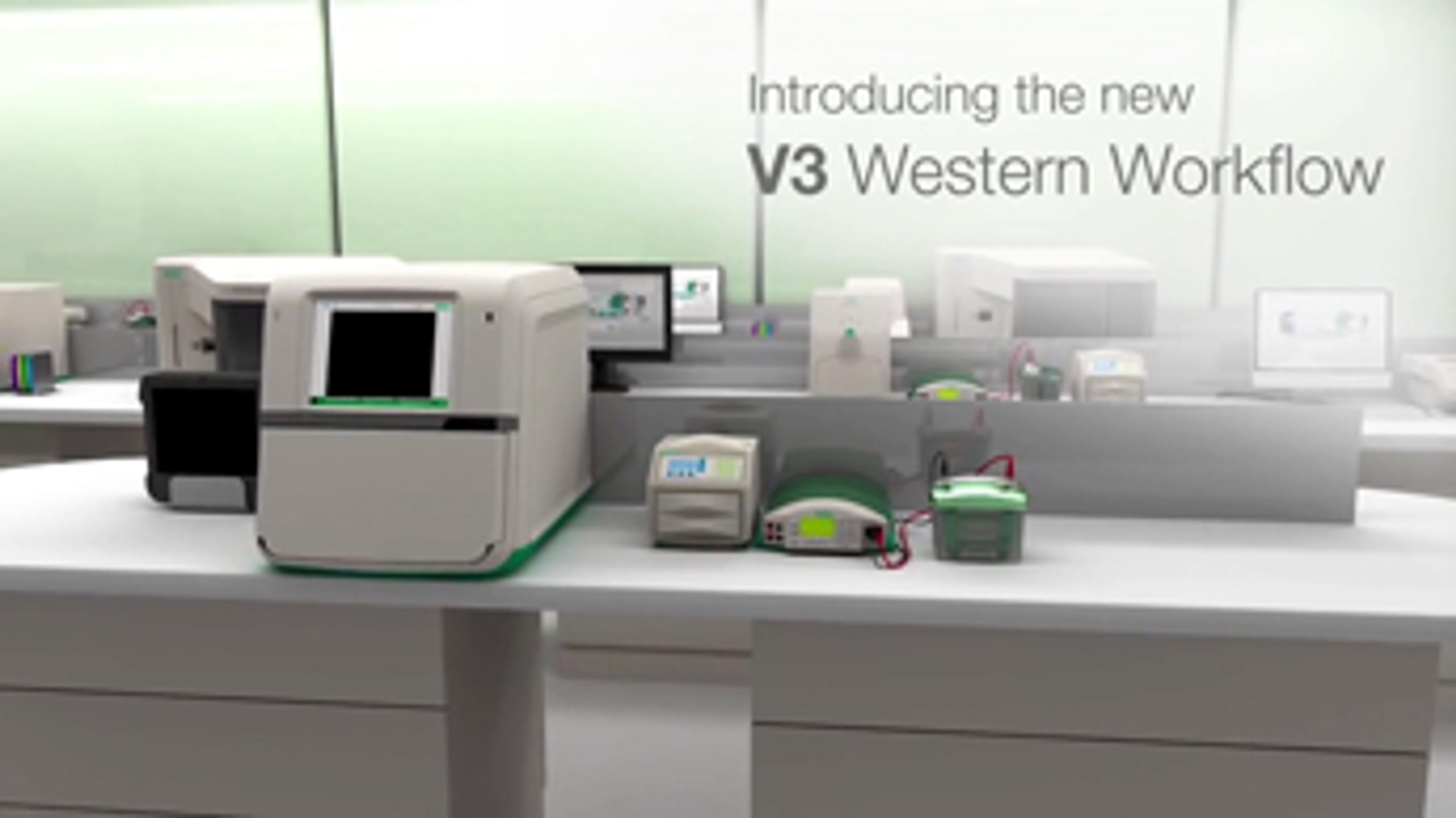 Introducing the V3 Western Workflow™ with ChemiDoc™ MP Imaging System Introducing the V3 Western Workflow™ with ChemiDoc™ MP Imaging System