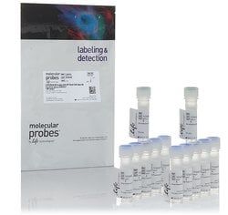 Invitrogen™ LIVE/DEAD™ Fixable Near-IR Dead Cell Stain Kit