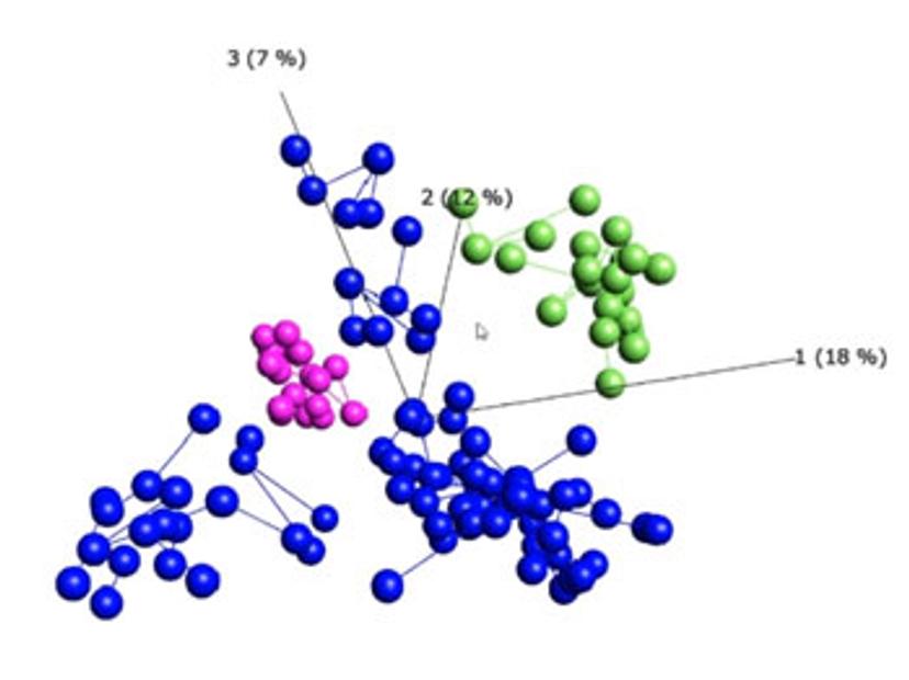 Data Vizualization Demonstration Software