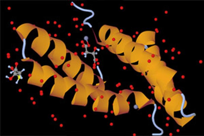 The future of engineered polymerases? Zeroing the step of quantitative reverse transcription PCR (RT-qPCR)