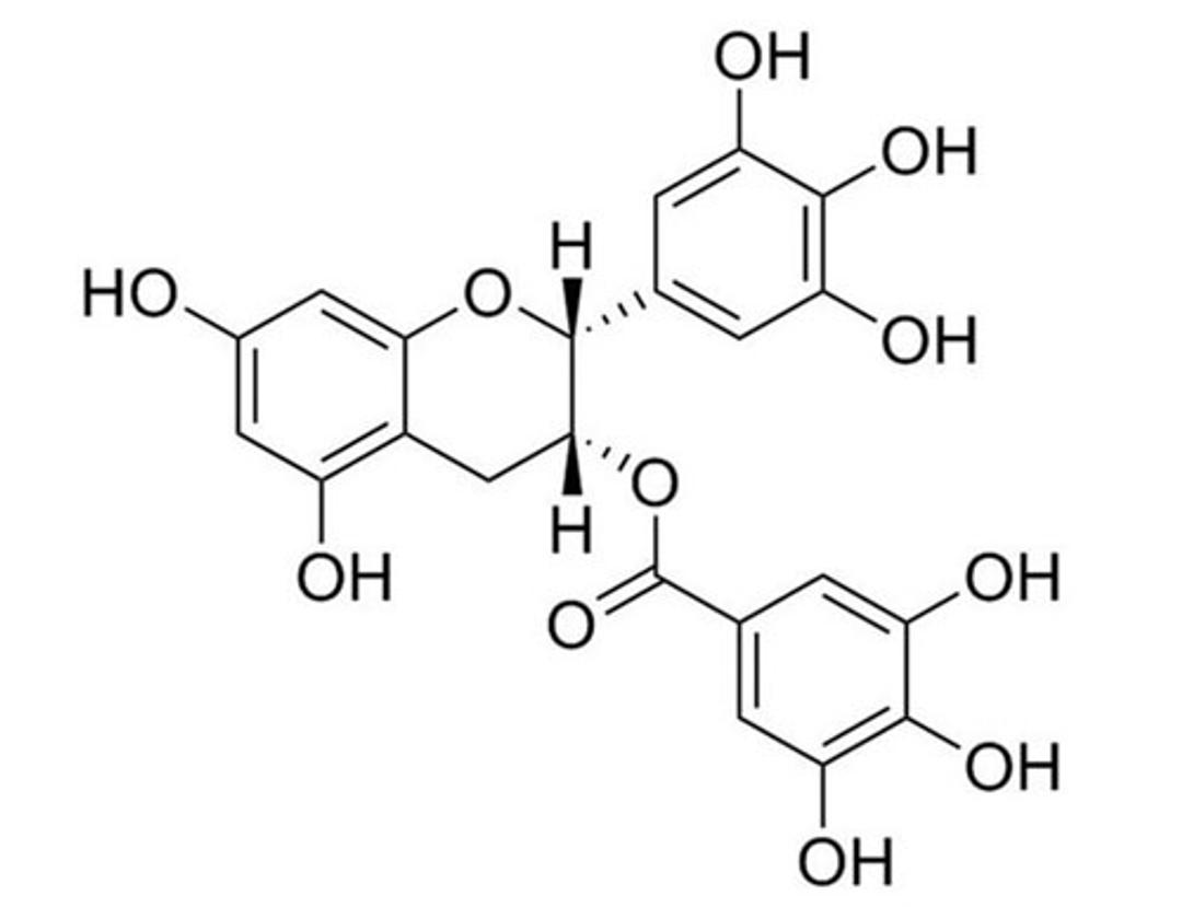 (-)-Epigallocatechin Gallate