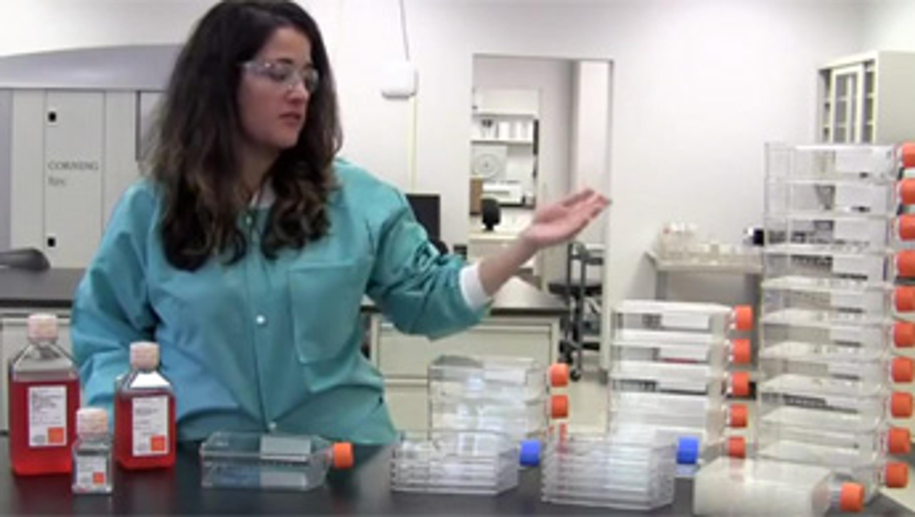 Novel Techniques for Cell Expansion Novel Techniques for Cell Expansion