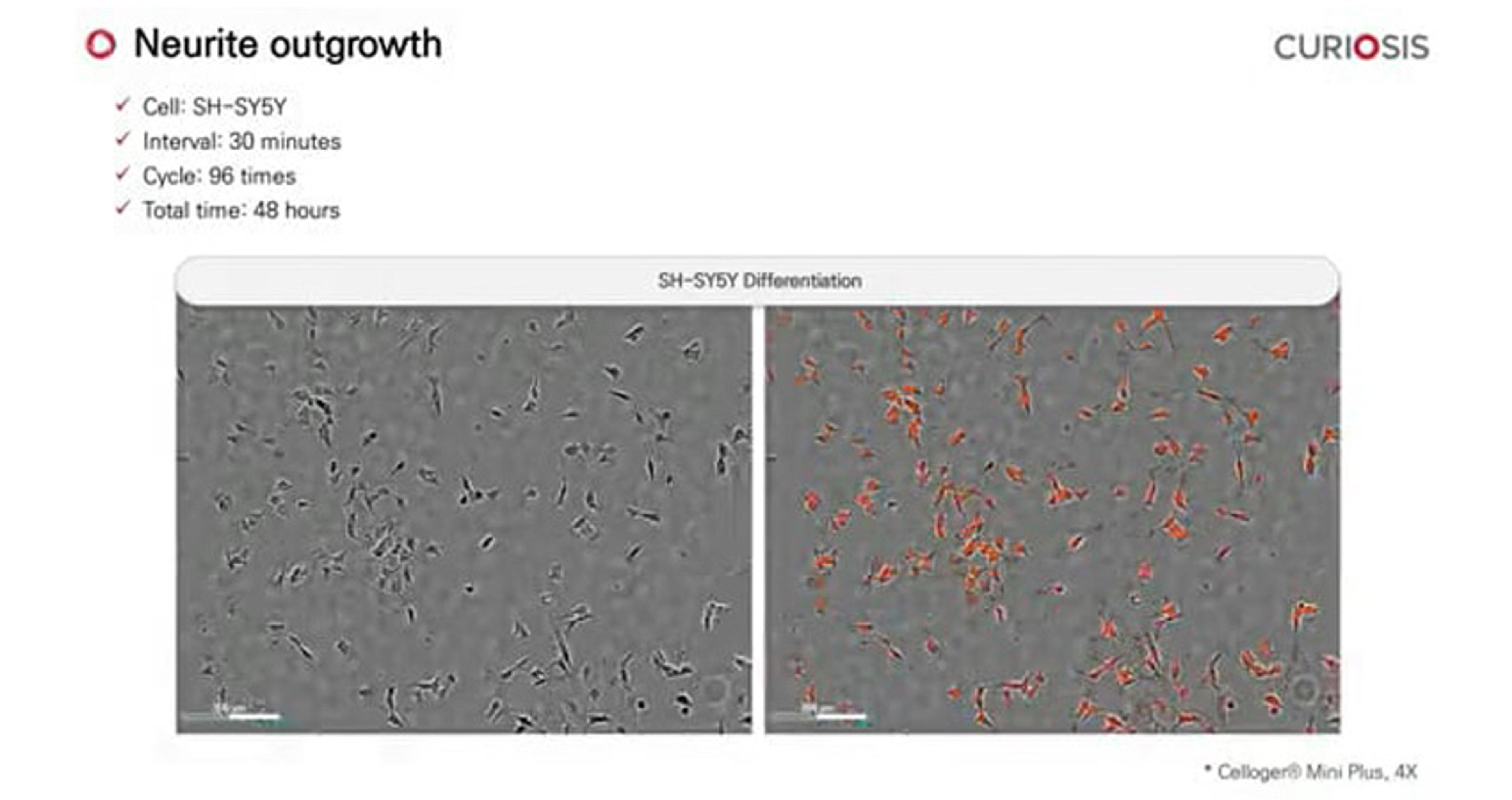 Celloger Mini Plus application: Neurite outgrowth