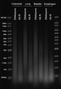 DNA comparison from FFPE tumor samples