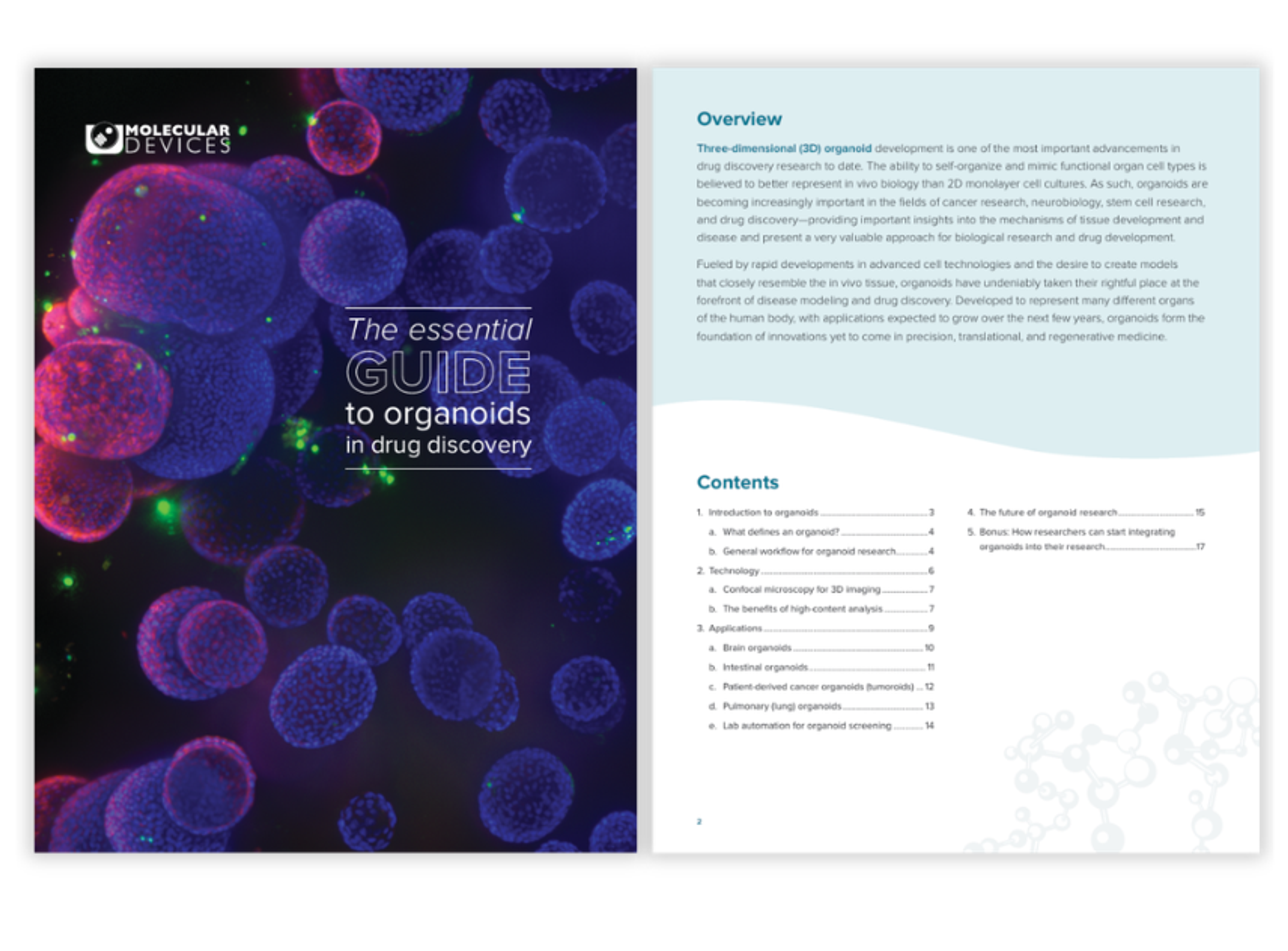 organoid technology, imaging, analysis and applications in disease modelling and drug discovery