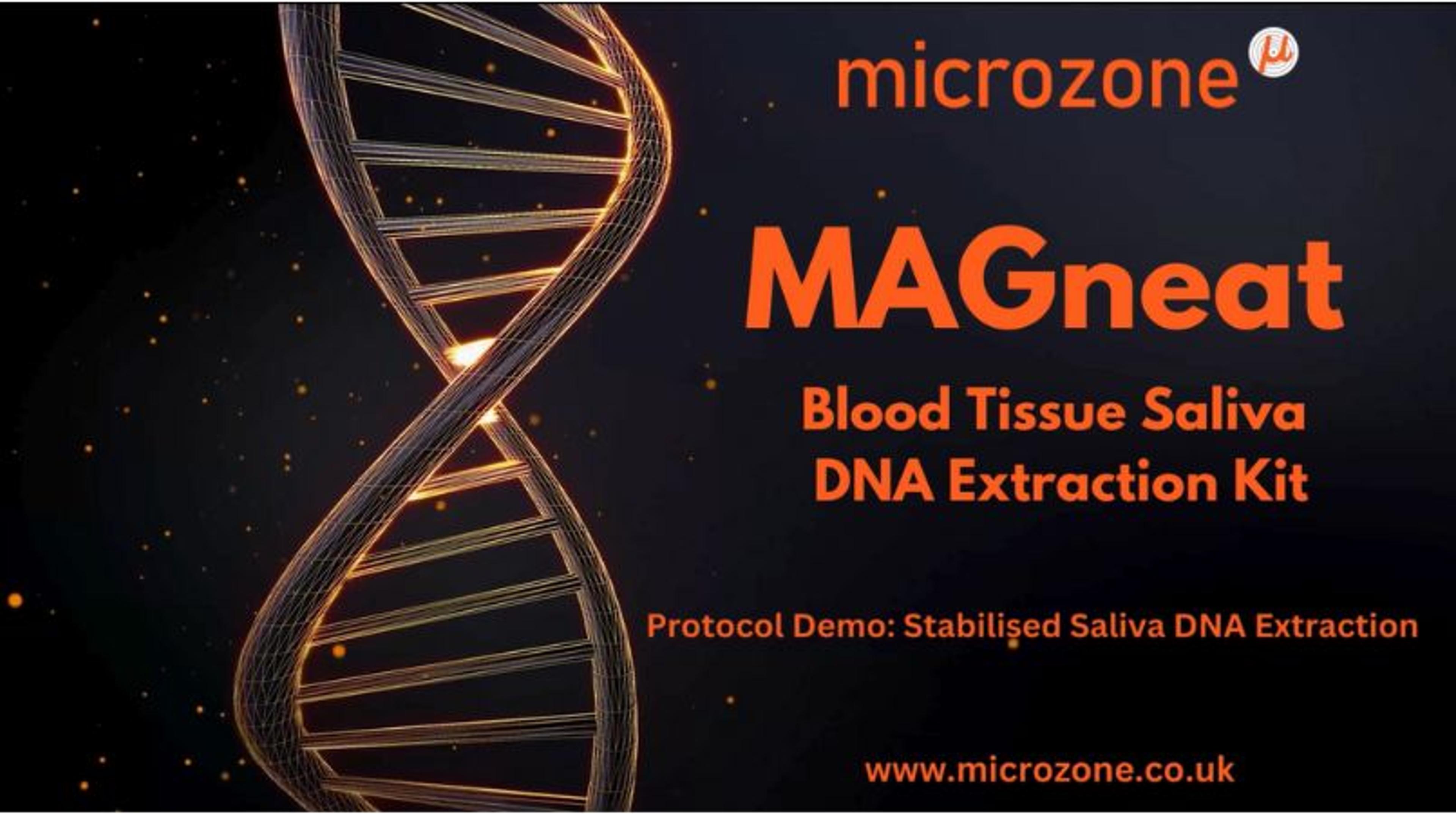 MAGneat Blood Tissue Saliva DNA Extraction Kit