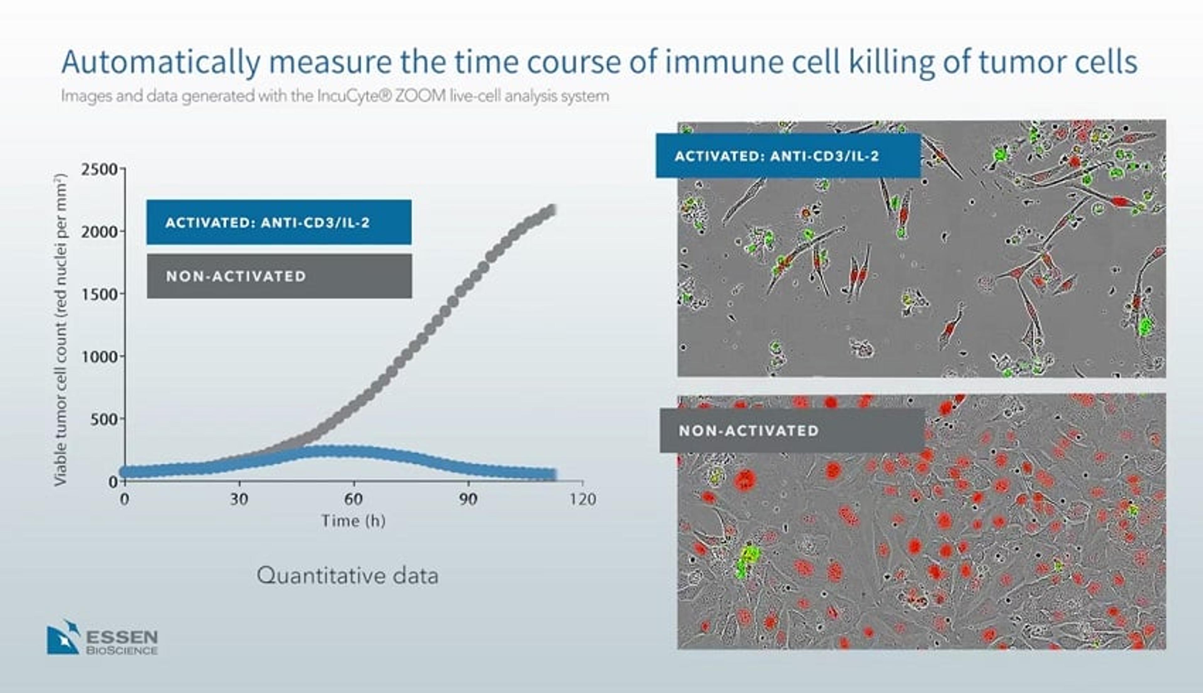 Analysis of Immune Cell Killing of Tumor Cells Using the IncuCyte® System Analysis of Immune Cell Killing of Tumor Cells Using the IncuCyte® System