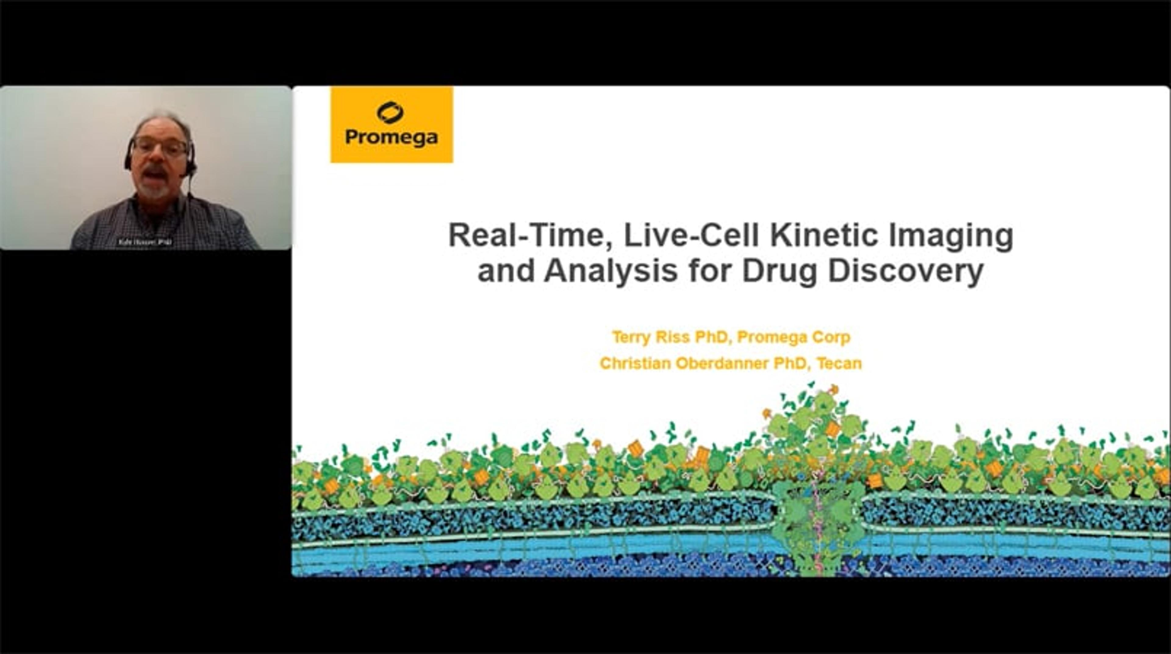 Real-time, live-cell kinetic imagery and analysis for drug discovery Real-time, live-cell kinetic imagery and analysis for drug discovery