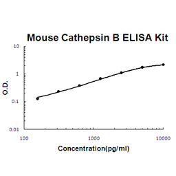 Mouse Cathepsin B PicoKine ELISA Kit standard curve