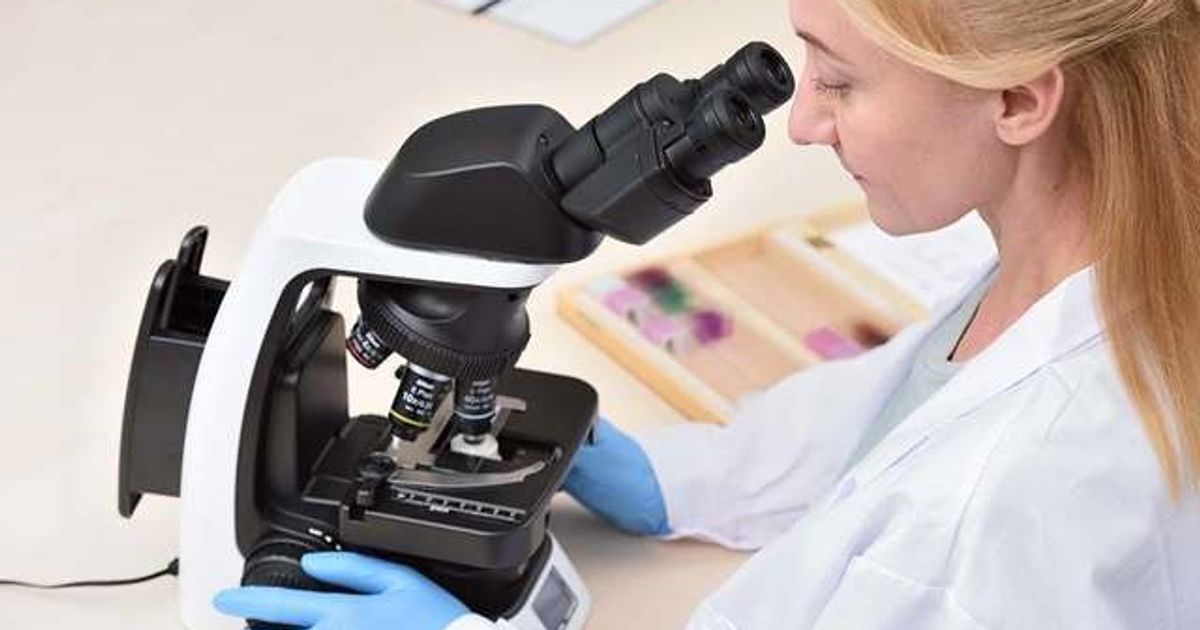 Buy Eclipse Si Upright Microscope Read Reviews