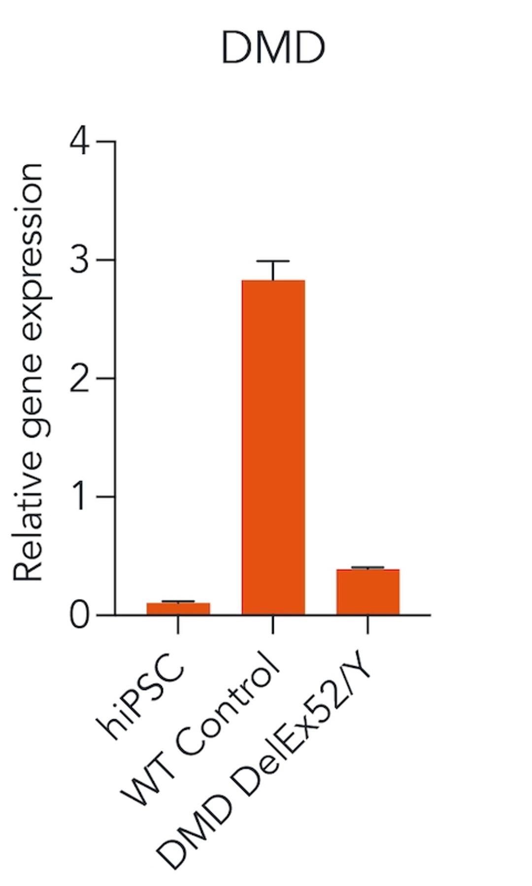 DMD expression is lost vs. control