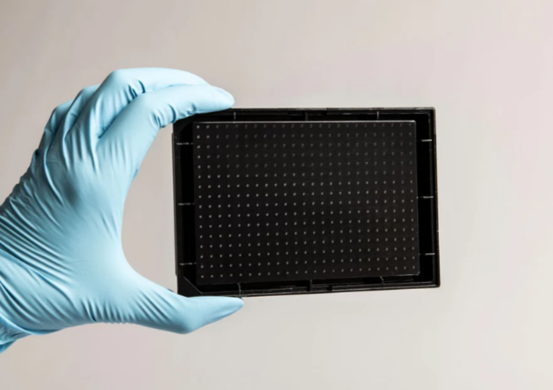 Akura™ 384 Spheroid Microplate (10/pack) - InSphero