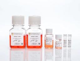 StemSpan T Cell Generation Kit