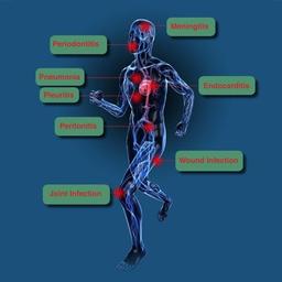 Applications of Micro-Dx™ CE IVD