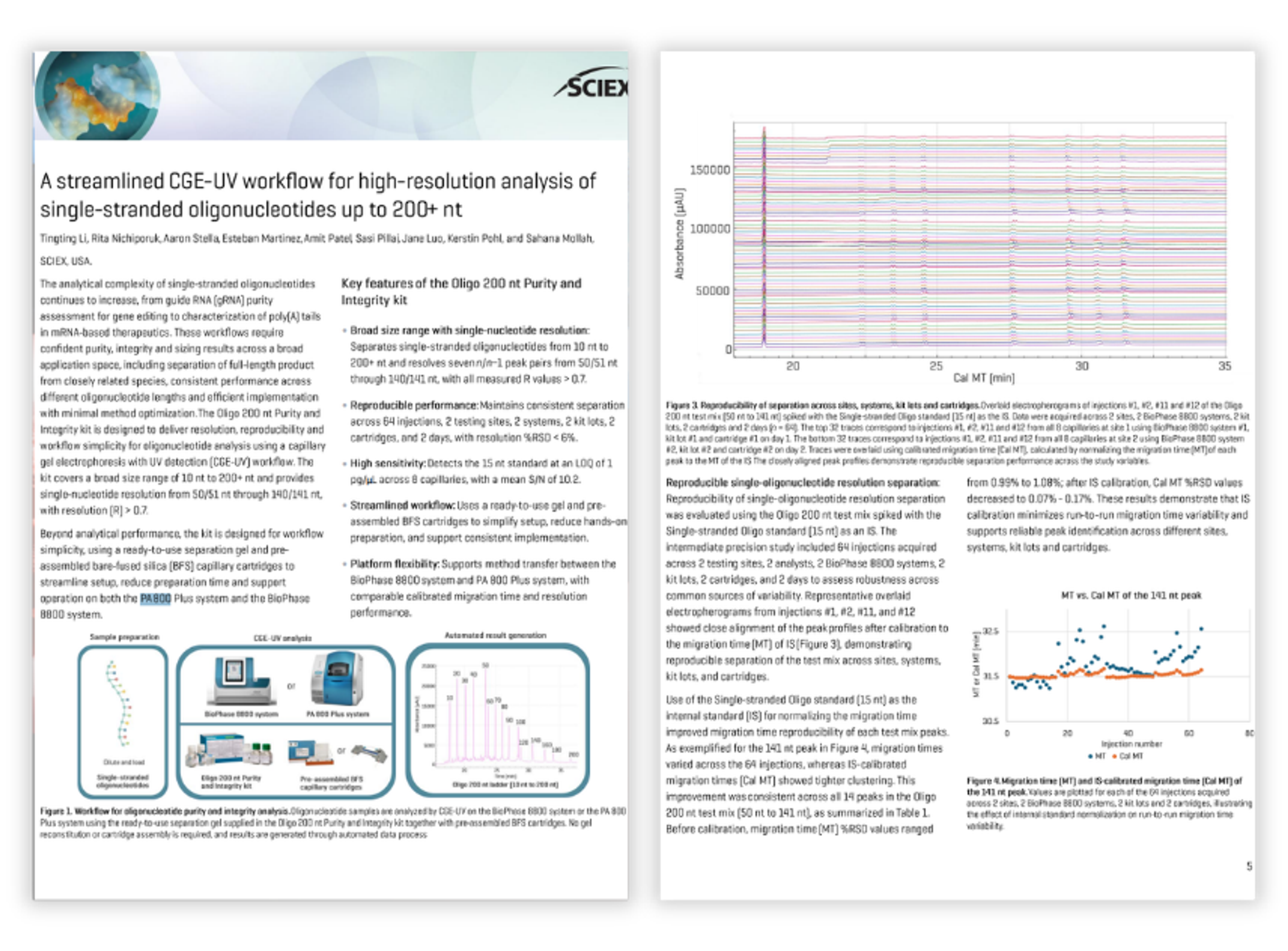 A streamlined CGE-UV workflow for high-resolution analysis of single -stranded oligonucleotides up to 200 + nt