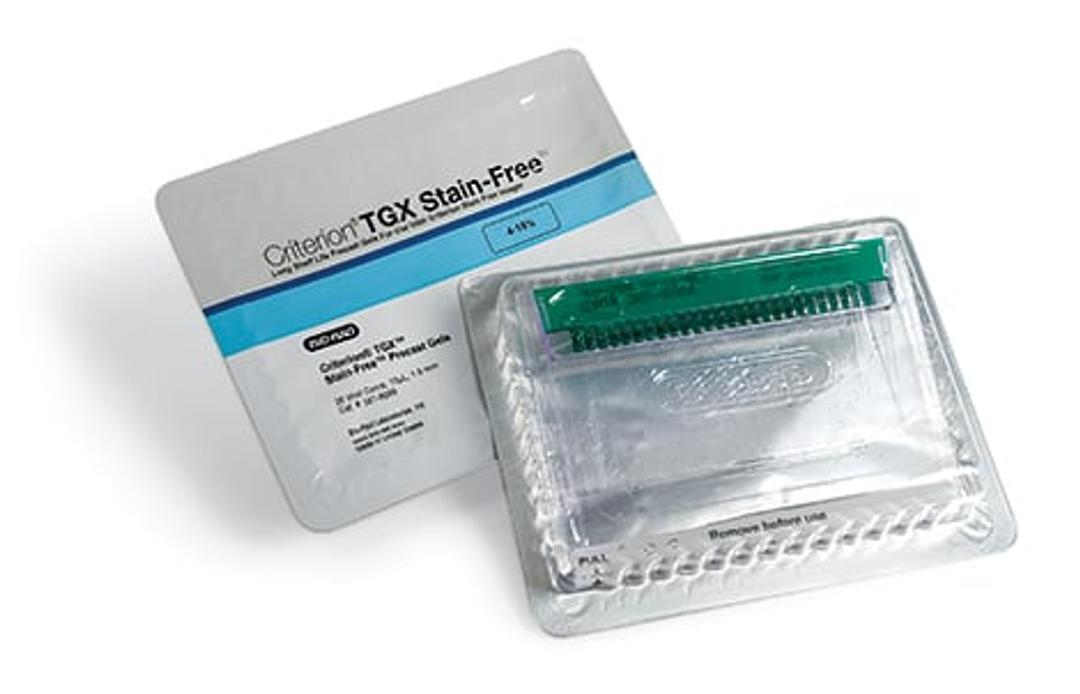 Criterion TGX Stain-Free Precast Gels