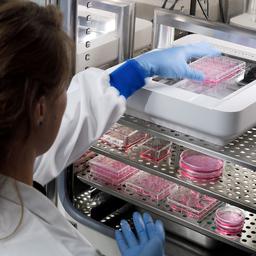 Continuous imaging provides real-time insight