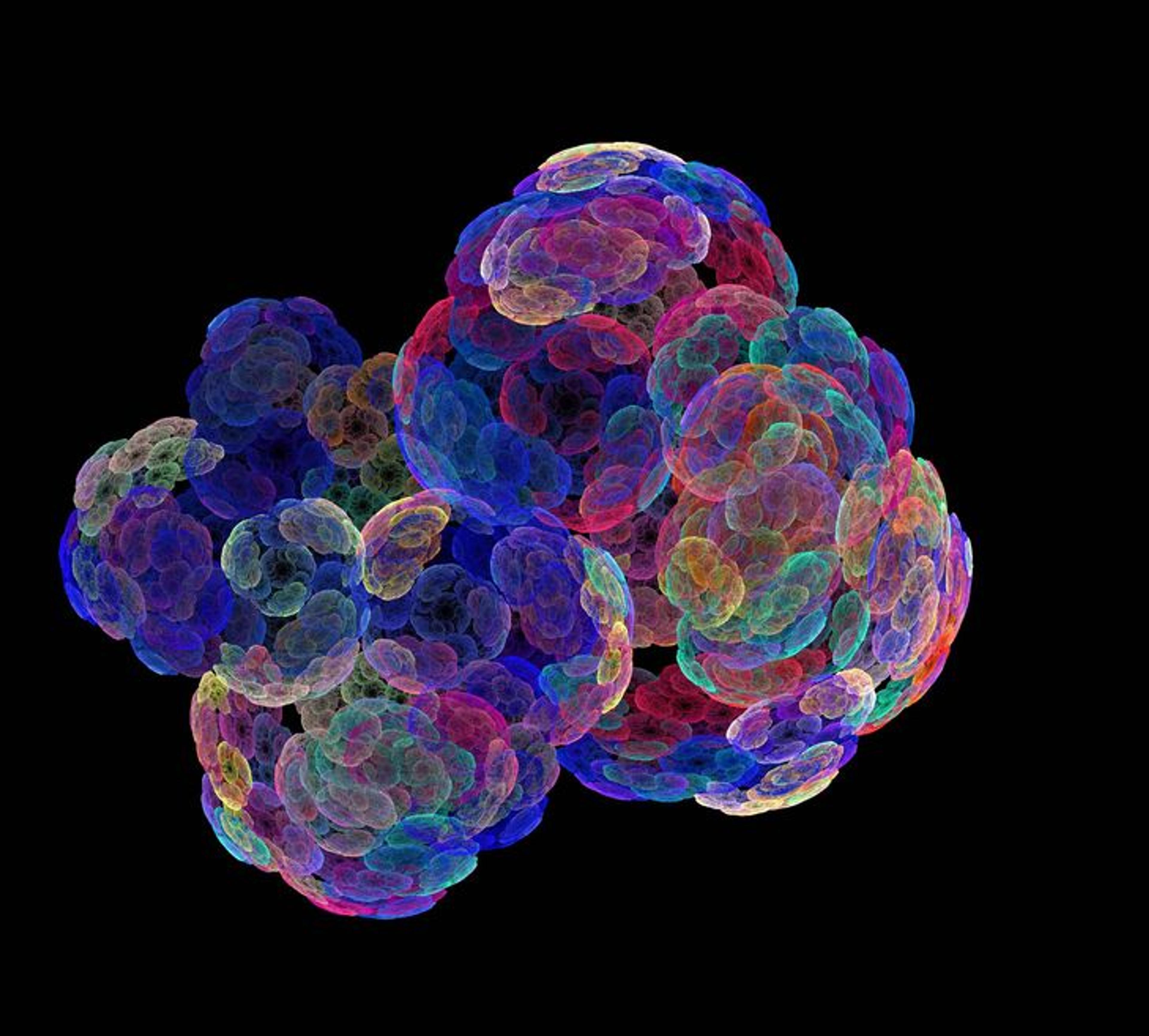 3D biology image