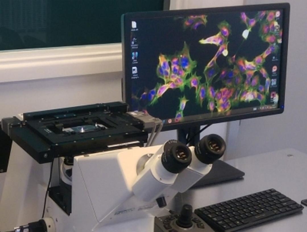 An ASR-E stage on a microscope