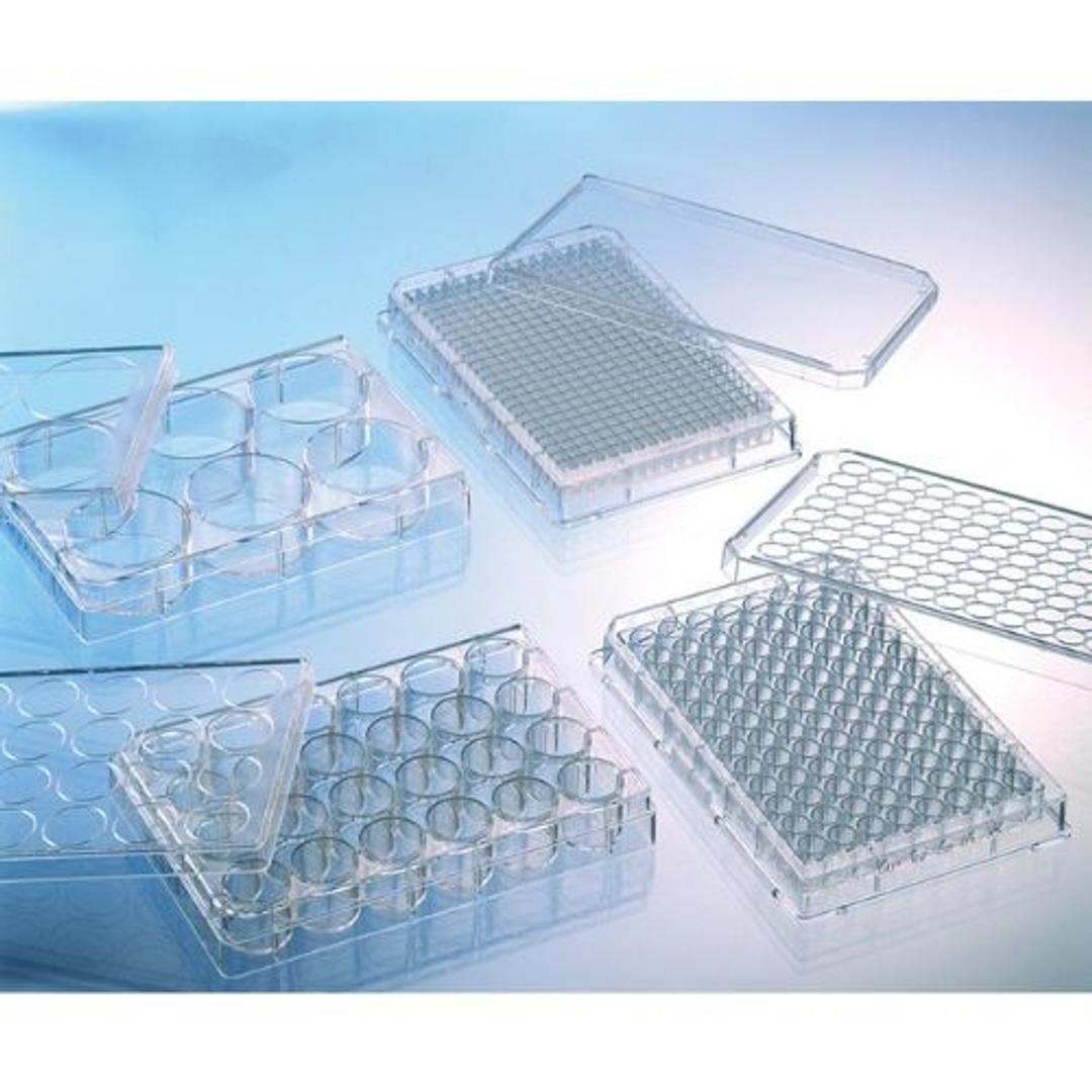 Protein-coated multiwell plates and microplates